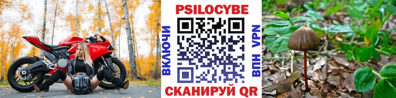 Галлюциногенные грибы Cubensis  Буй 